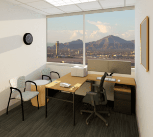 Mental-Health-Consult-Room-300x267